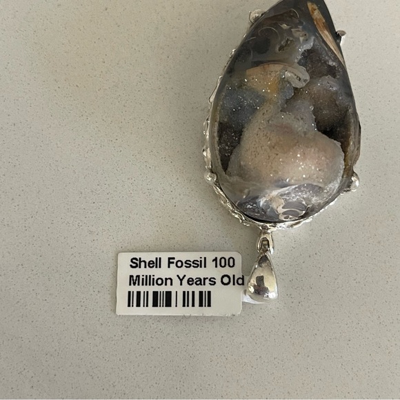 Unisex One of a Kind Shell Fossil 100 Million Years Old Pendant - Picture 12 of 12